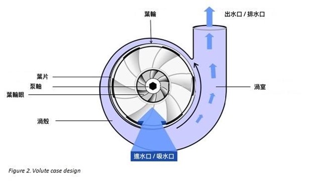 auto_fit
